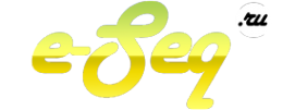 Логотип компании E-seq.ru