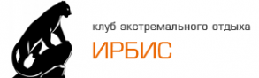 Логотип компании Ирбис