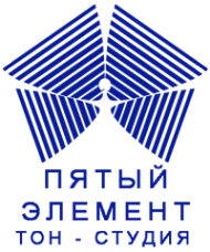 Логотип компании Пятый Элемент
