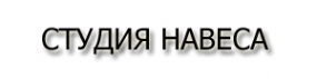 Логотип компании Тент-Студия