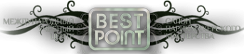 Логотип компании BEST POINT
