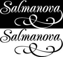 Логотип компании Salmanova