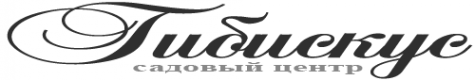 Логотип компании Гибискус