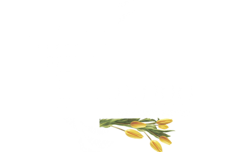 Логотип компании Арт-колибри
