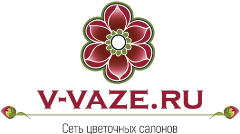 Логотип компании V-vaze.ru
