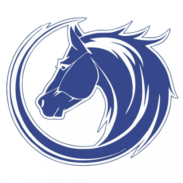 Логотип компании АЛЬТАИР