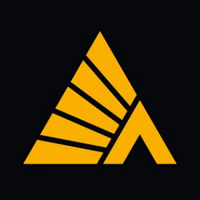 Логотип компании Деловые Линии Тольятти